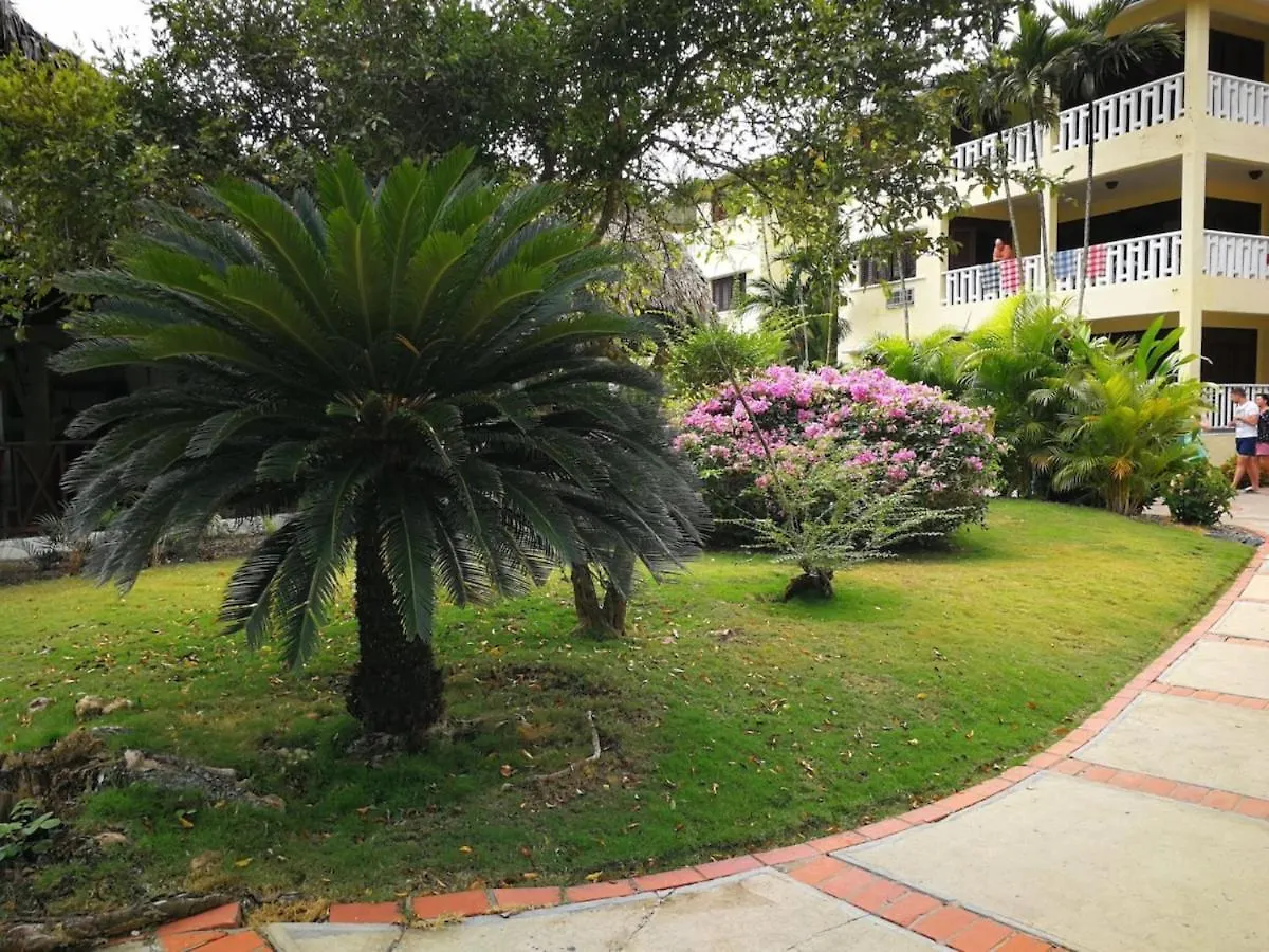 Room In Apartment - Delightful Caribbean Apartment In Boca Chica 0*,